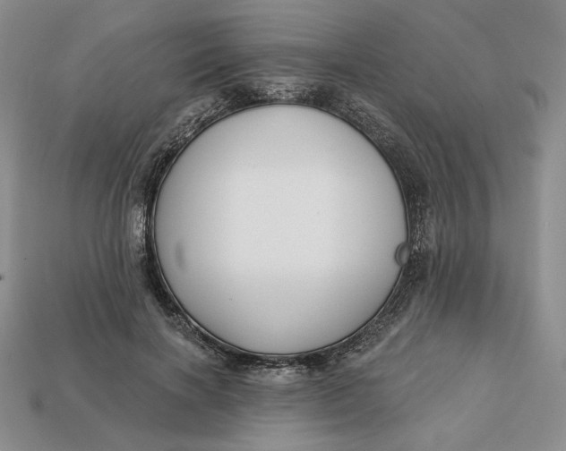X0000112760646200909101531