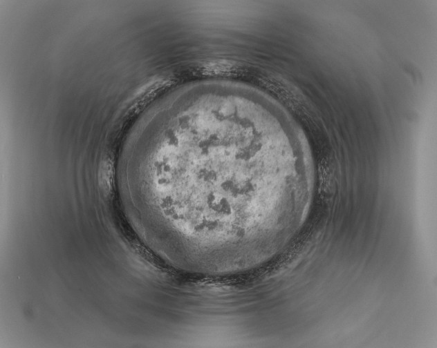 X0000112760648200909101531