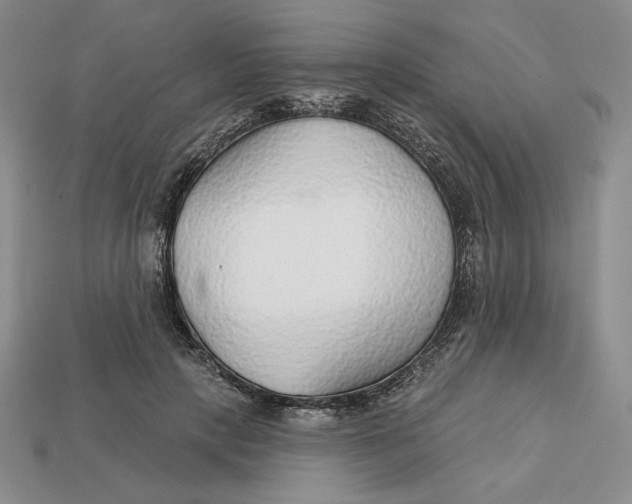 X0000112760649200909101531