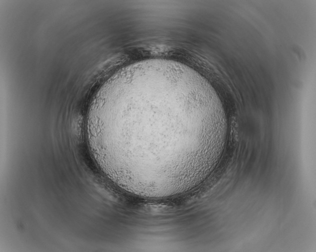 X0000112760650200909101531