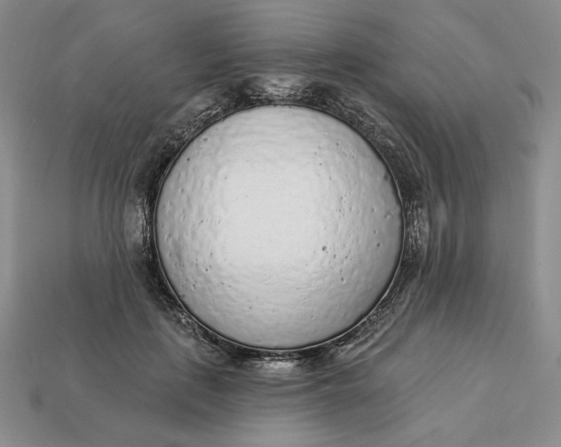 X0000112760651200909101531