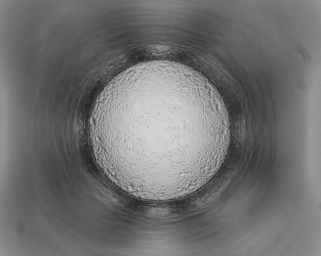 X0000112760653200909101531