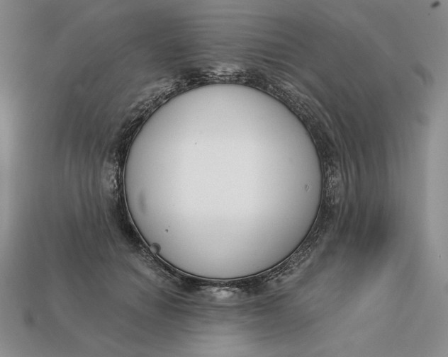 X0000112760654200909101531