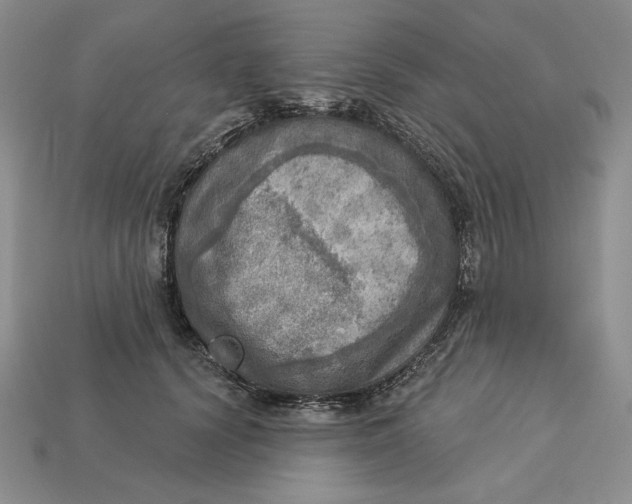 X0000112760656200909101531