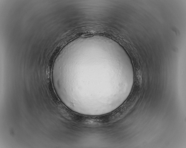 X0000112760657200909101531