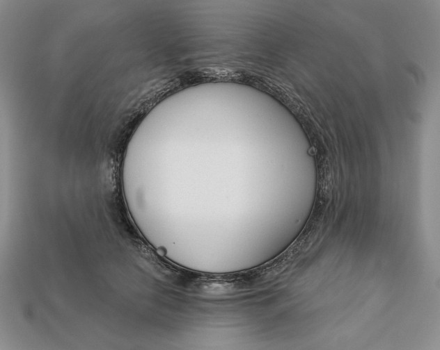 X0000112760658200909101531