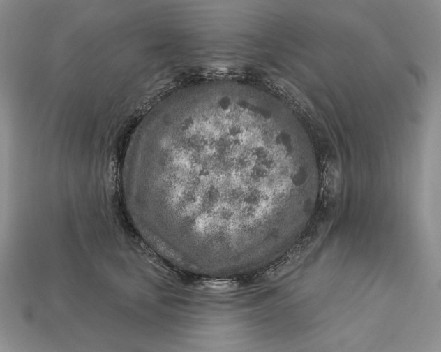 X0000112760659200909101531