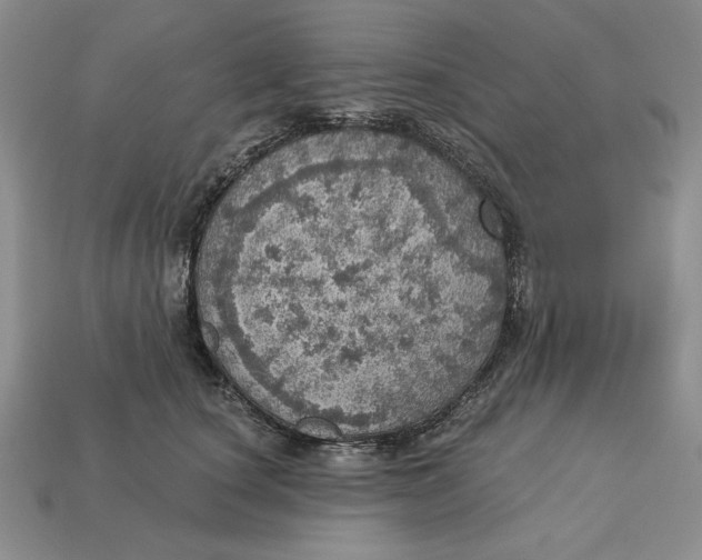X0000112760660200909101531