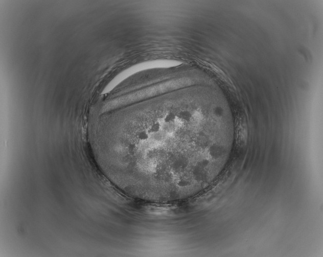 X0000112760661200909101531