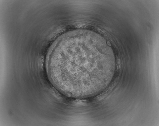 X0000112760664200909101531