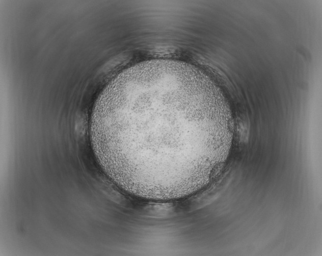 X0000112760665200909101531