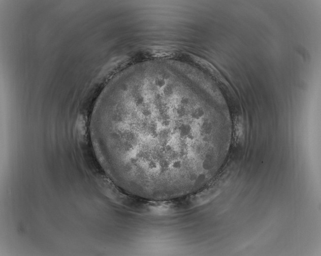 X0000112760667200909101531