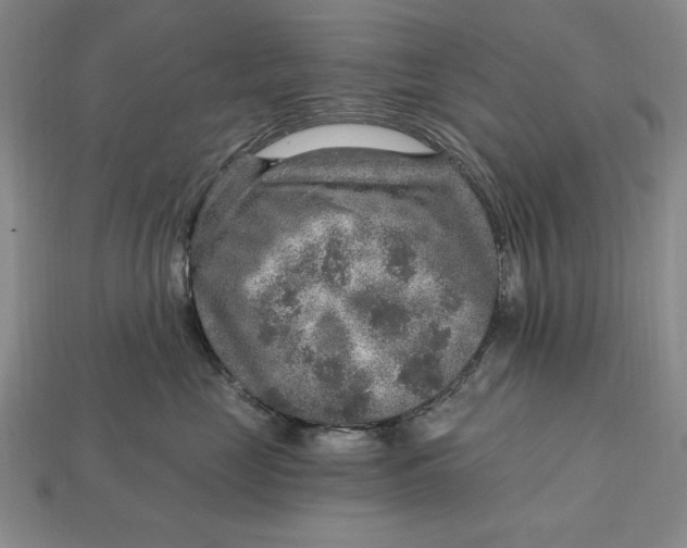 X0000112760669200909101531