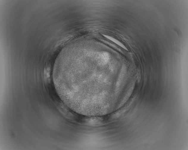 X0000112760670200909101531