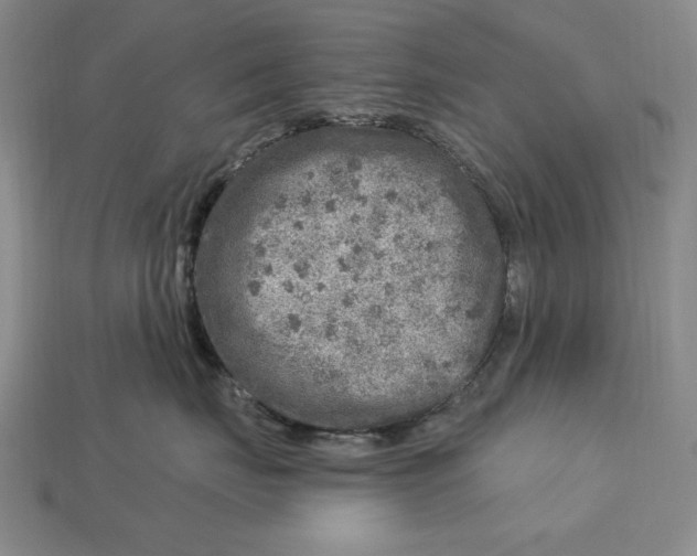 X0000112760671200909101531
