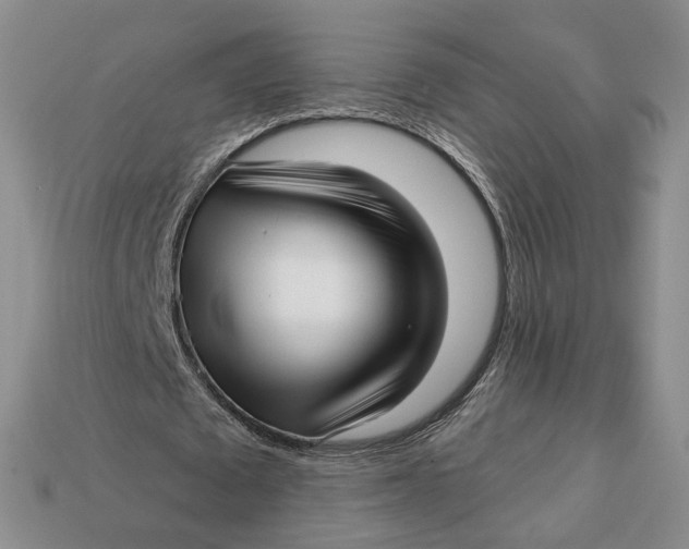 X0000112760673200909101531