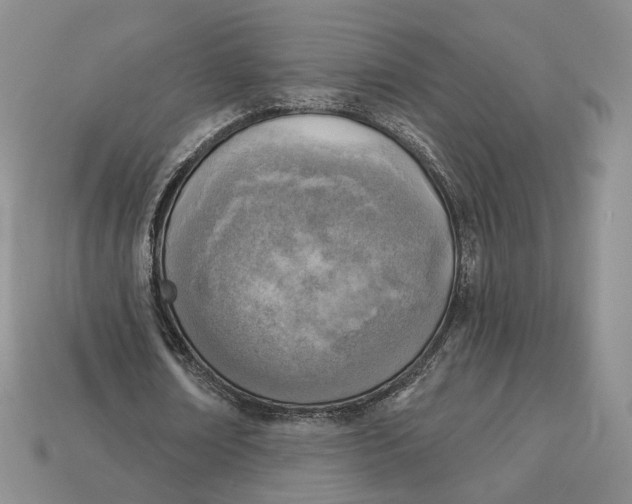 X0000112760674200909101531
