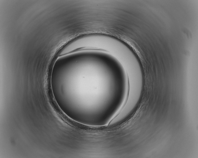 X0000112760677200909101531