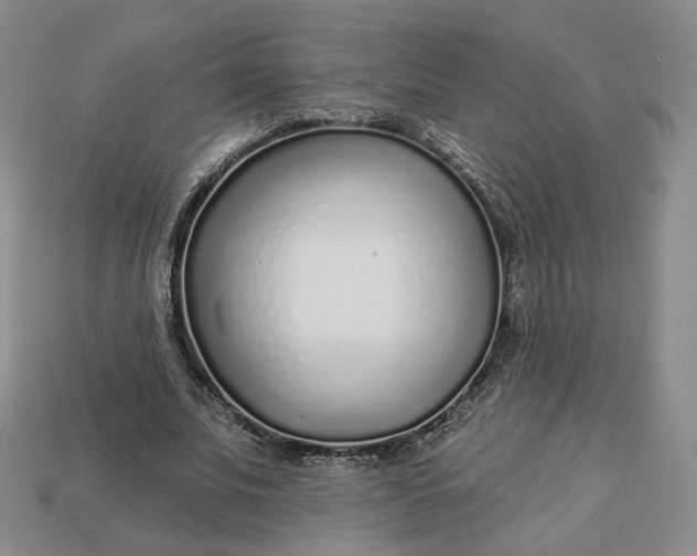 X0000112760679200909101531