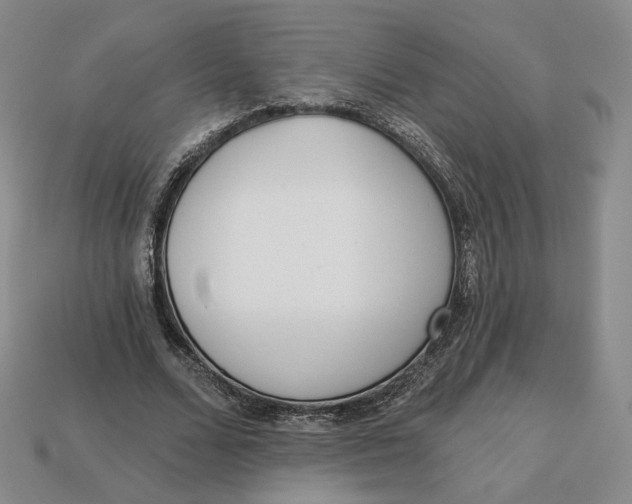 X0000112760680200909101531