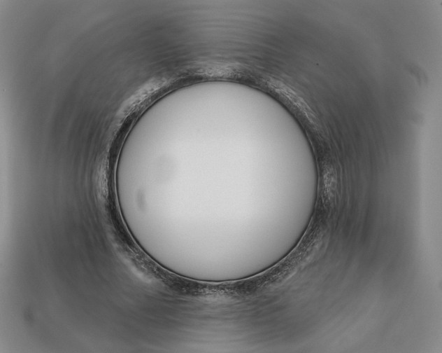 X0000112760682200909101531