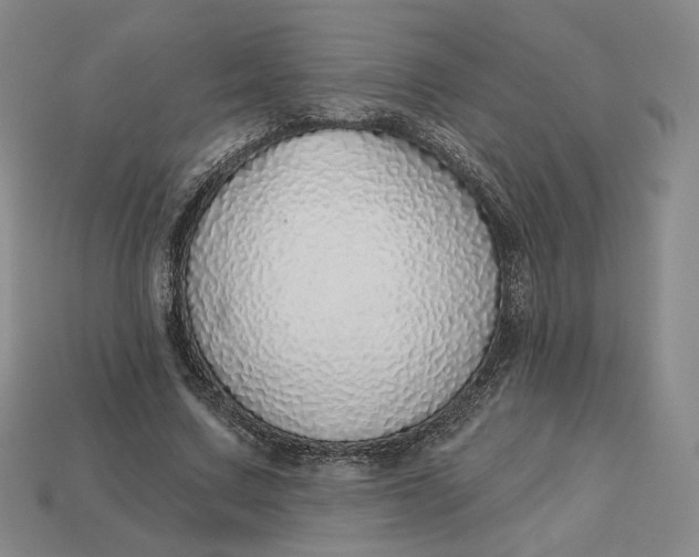 X0000112760683200909101531
