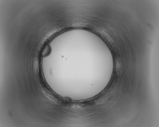 X0000112760684200909101531