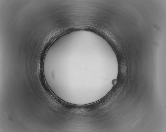 X0000112760685200909101531