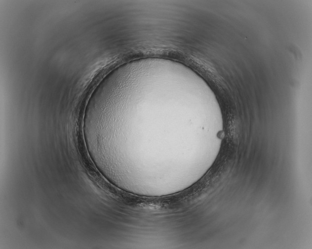 X0000112760687200909101531