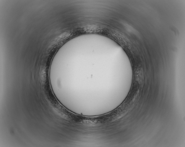 X0000112760690200909101530