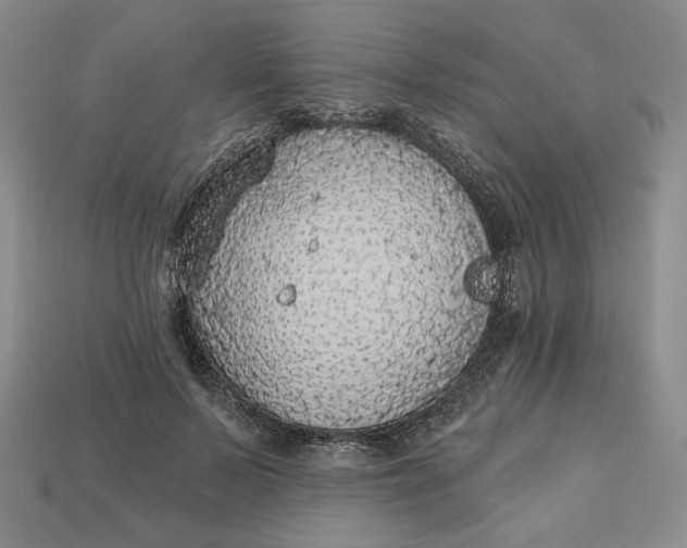 X0000112760695200909101530