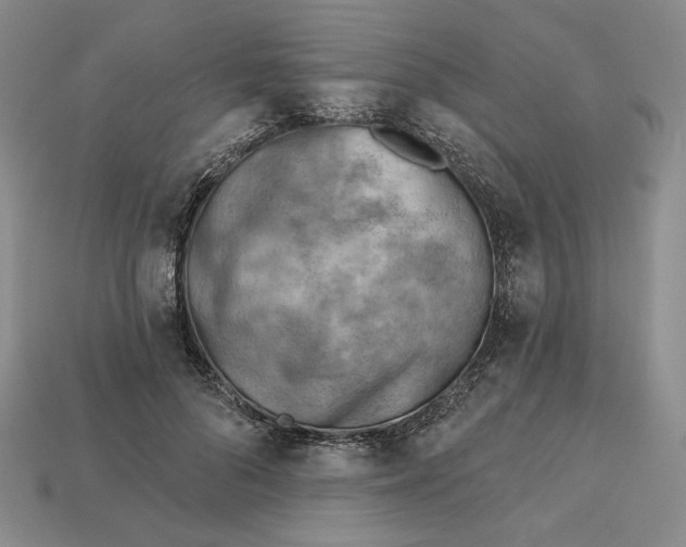 X0000112760696200909101530