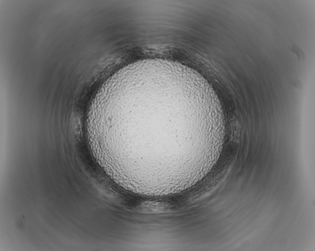 X0000112760699200909101530