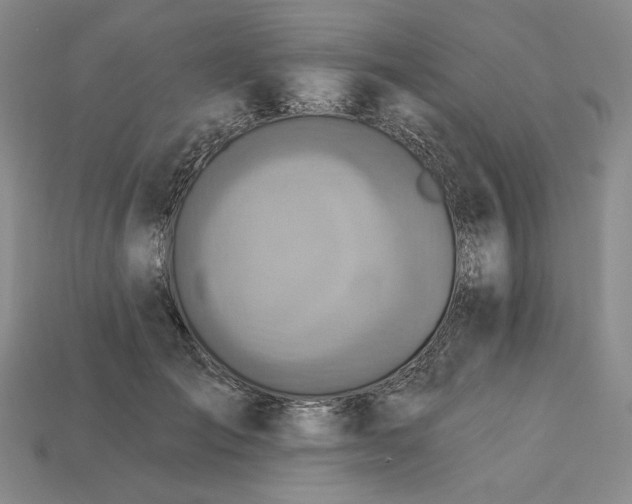 X0000112760701200909101530