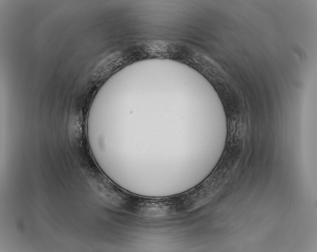 X0000112760702200909101530
