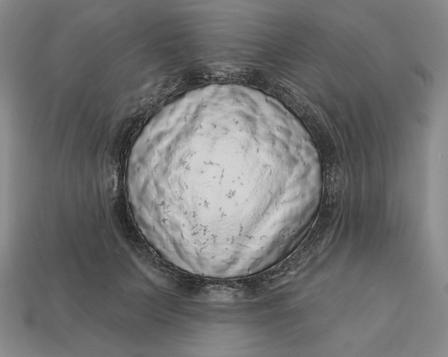 X0000112760703200909101530