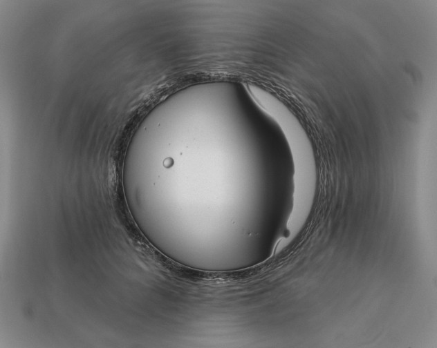X0000112760704200909101530