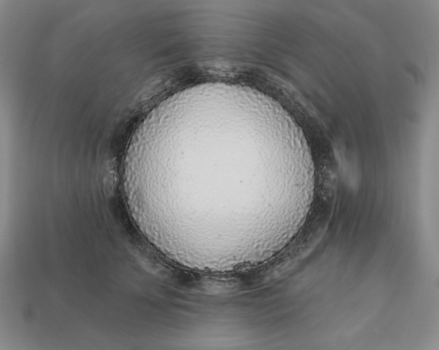 X0000112760707200909101530