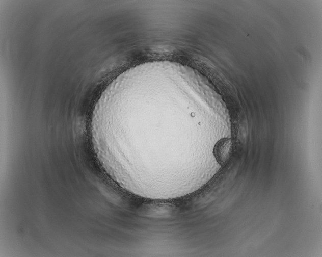 X0000112760711200909101530