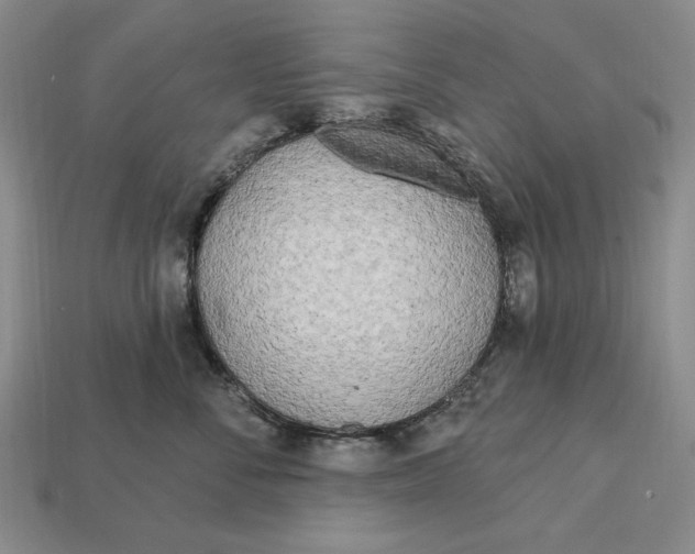 X0000112760716200909101530