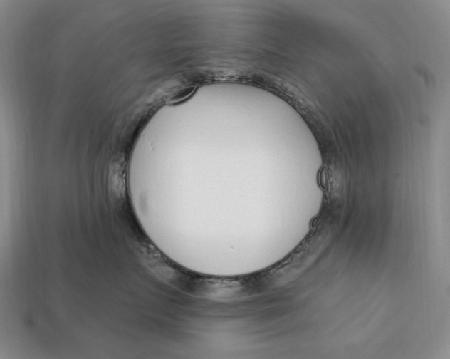 X0000112760719200909101530