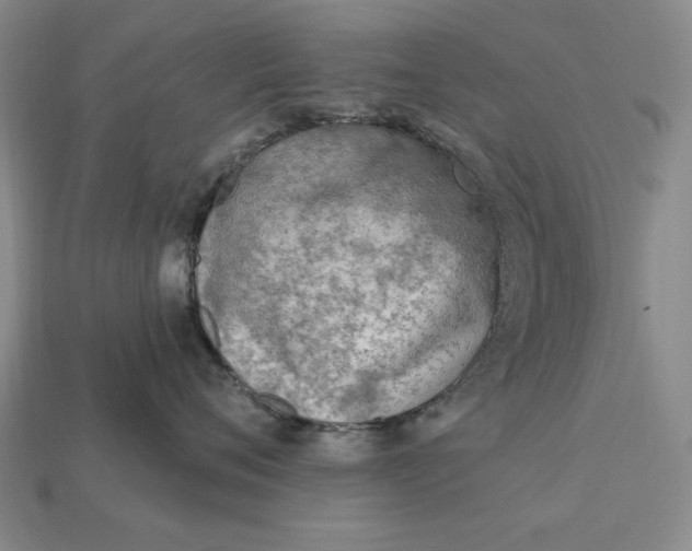 X0000112760720200909101530