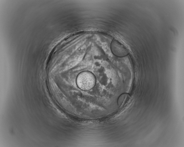 X0000112760721200909101529
