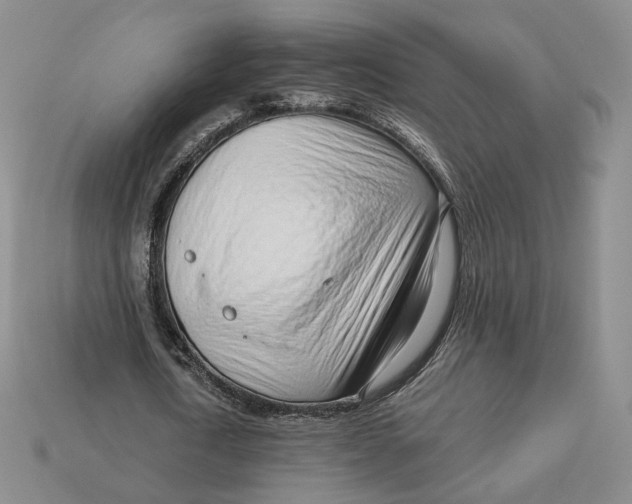X0000112760722200909101530