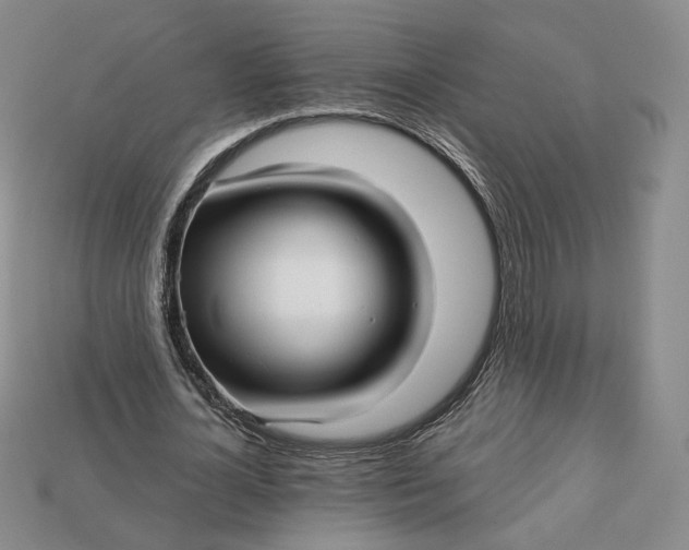 X0000112760724200909101530