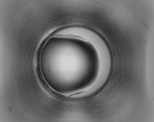 X0000112760726200909101530