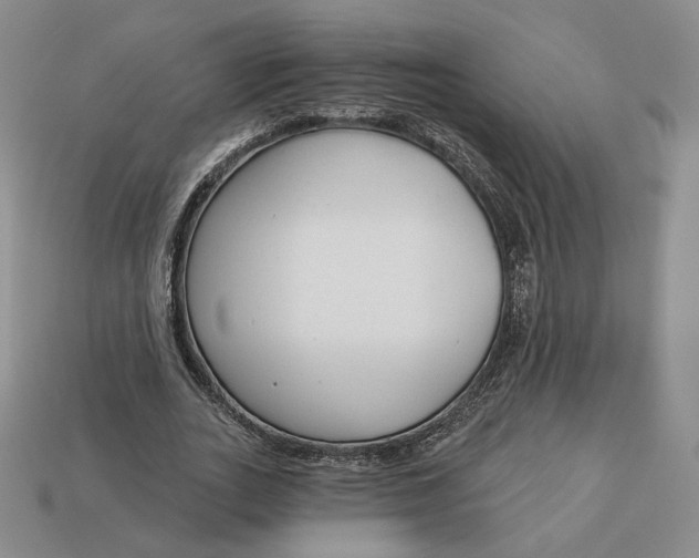 X0000112760727200909101530