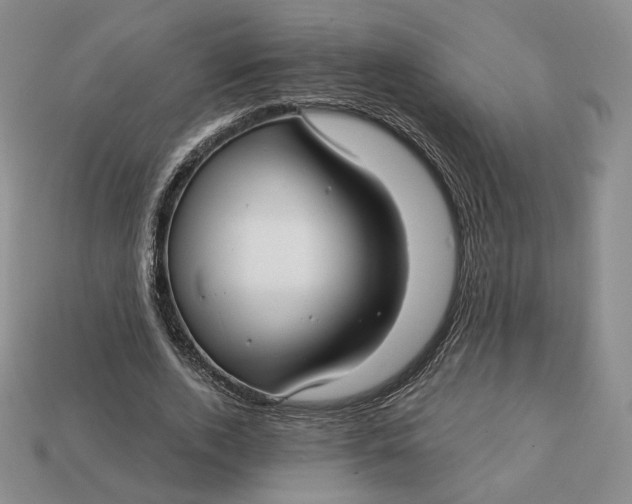 X0000112760728200909101530