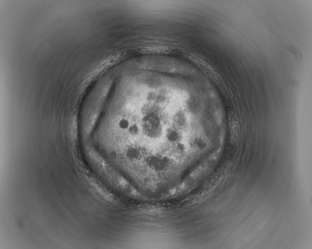X0000112760729200909101530
