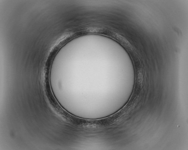 X0000112760730200909101530